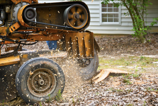 stump removal in North Ridgeville