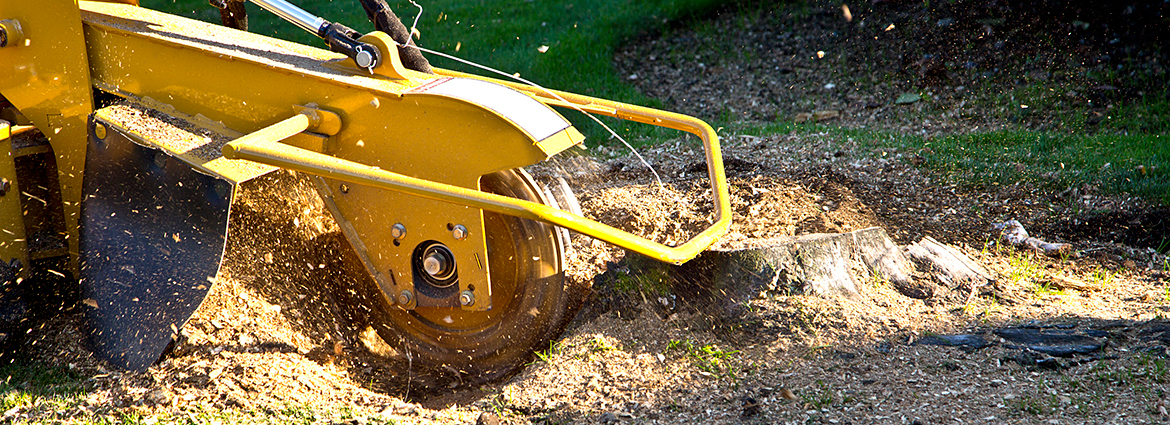 OH Stump Removal